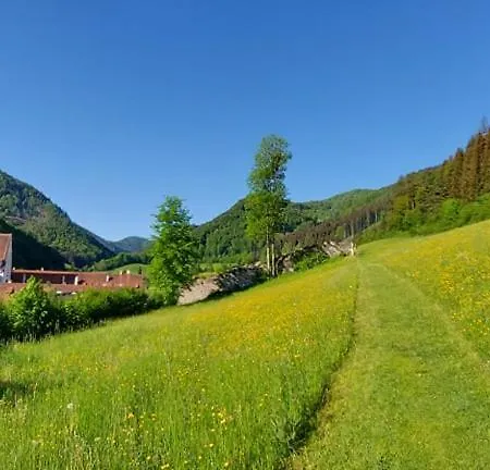 Ferienwohnung Bergspass